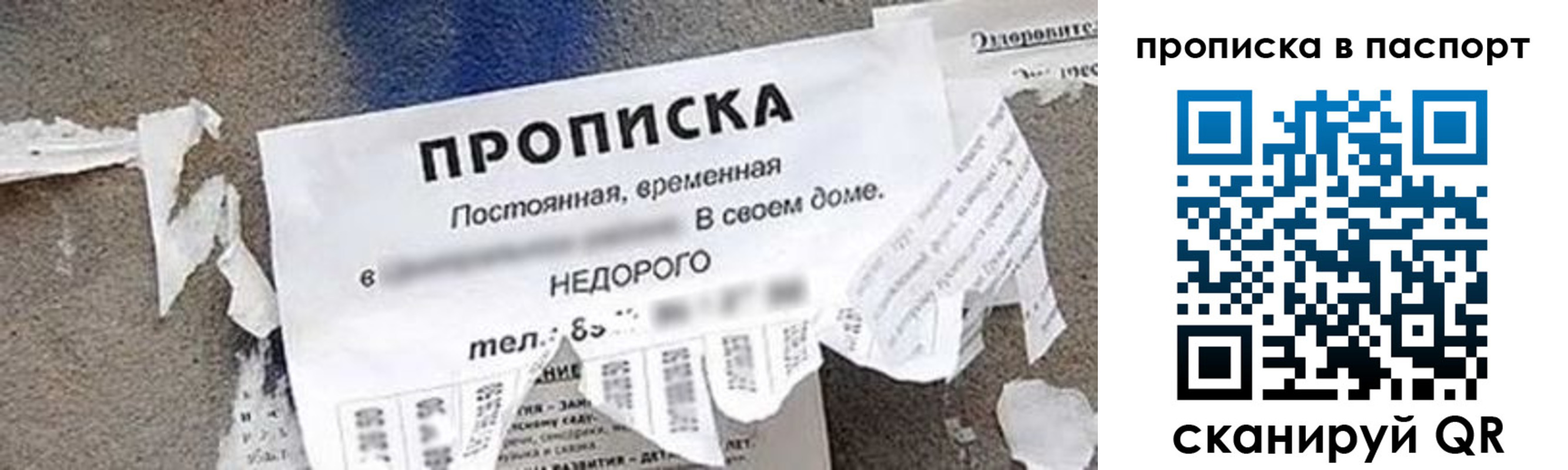 где прописаться в Коряжме